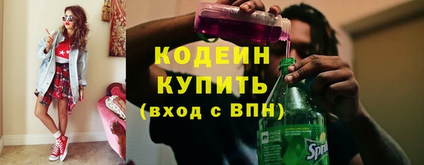 круглые Пересвет