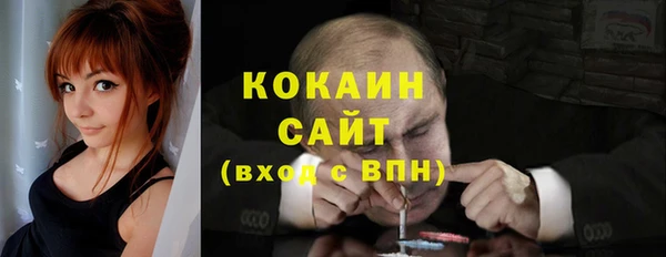 круглые Пересвет