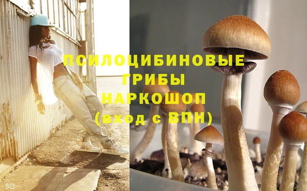 мяу мяу мука Переславль-Залесский