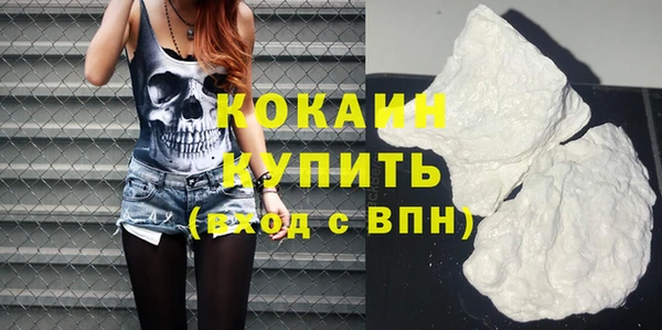 круглые Пересвет