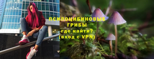 круглые Пересвет