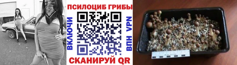 Псилоцибиновые грибы прущие грибы  продажа наркотиков  маркетплейс телеграм  Сорск 